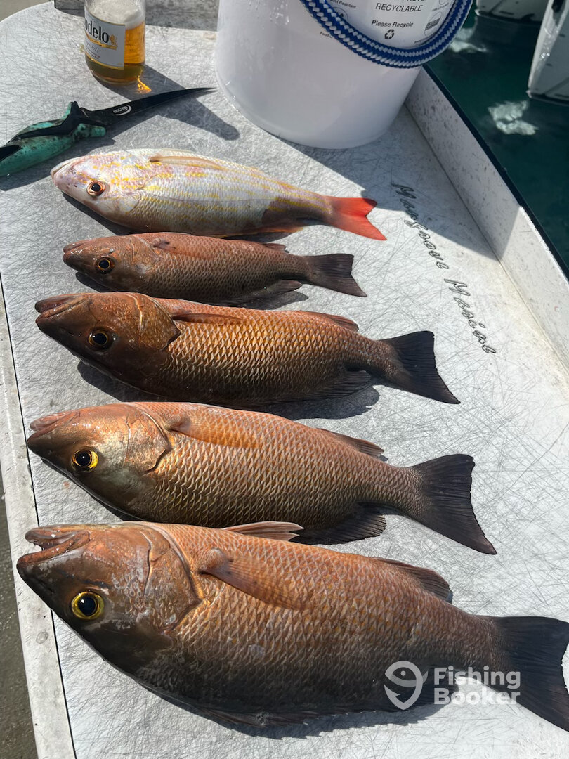 Key West Report Photo 0