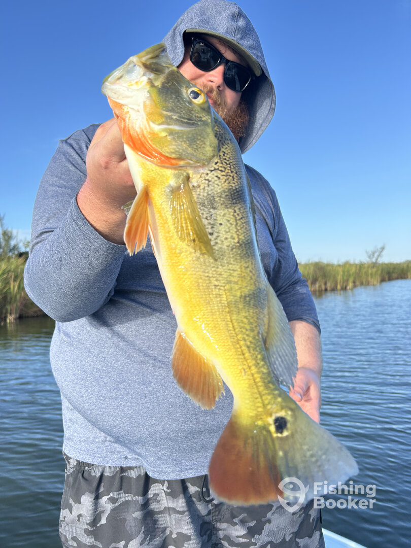 Carolina Report Photo 0