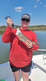 Hilton Head Island Report Photo 1