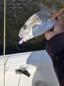 Panama City Report Photo 2