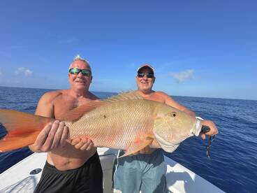 Monster Mutton Snapper