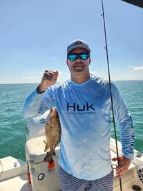 Snappers and claim seas 