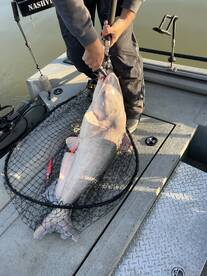 Green Hill Report Photo 1