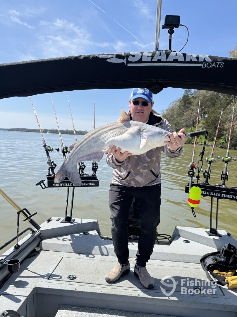 Green Hill Report Photo 0