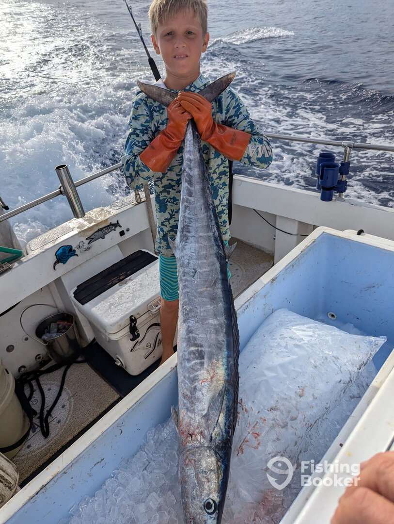 Haleiwa Report Photo 0