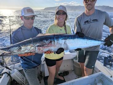 Haleiwa Report Photo 2