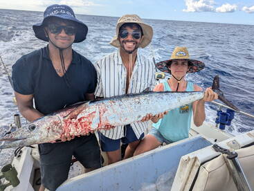 Haleiwa Report Photo 1