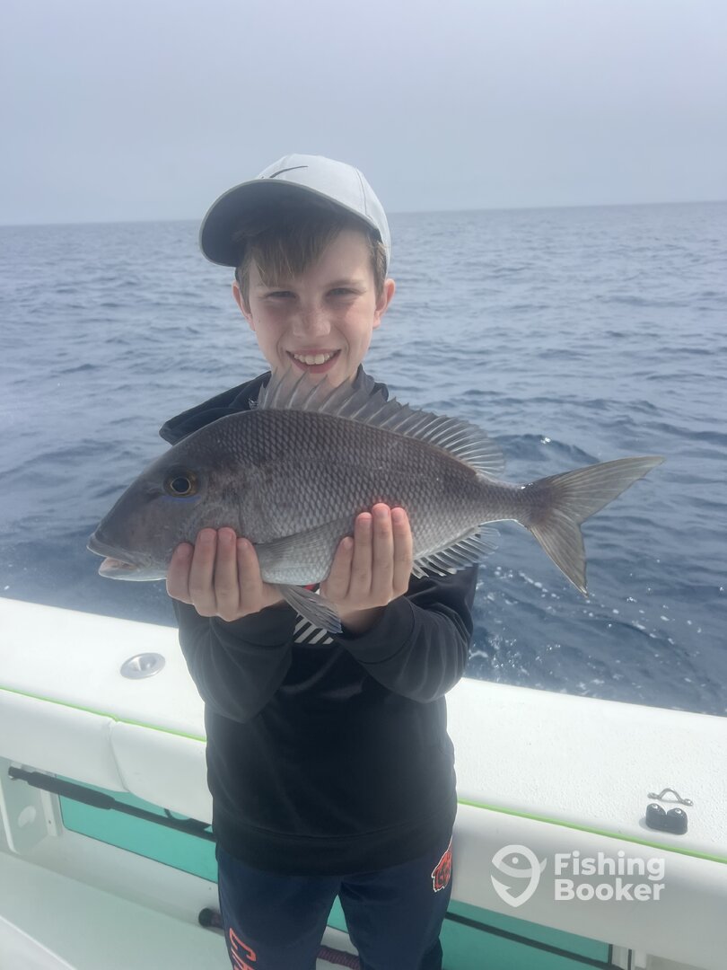 Treasure Island Report Photo 0