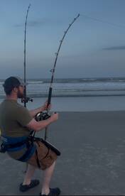 Sharks sharks sharks!  