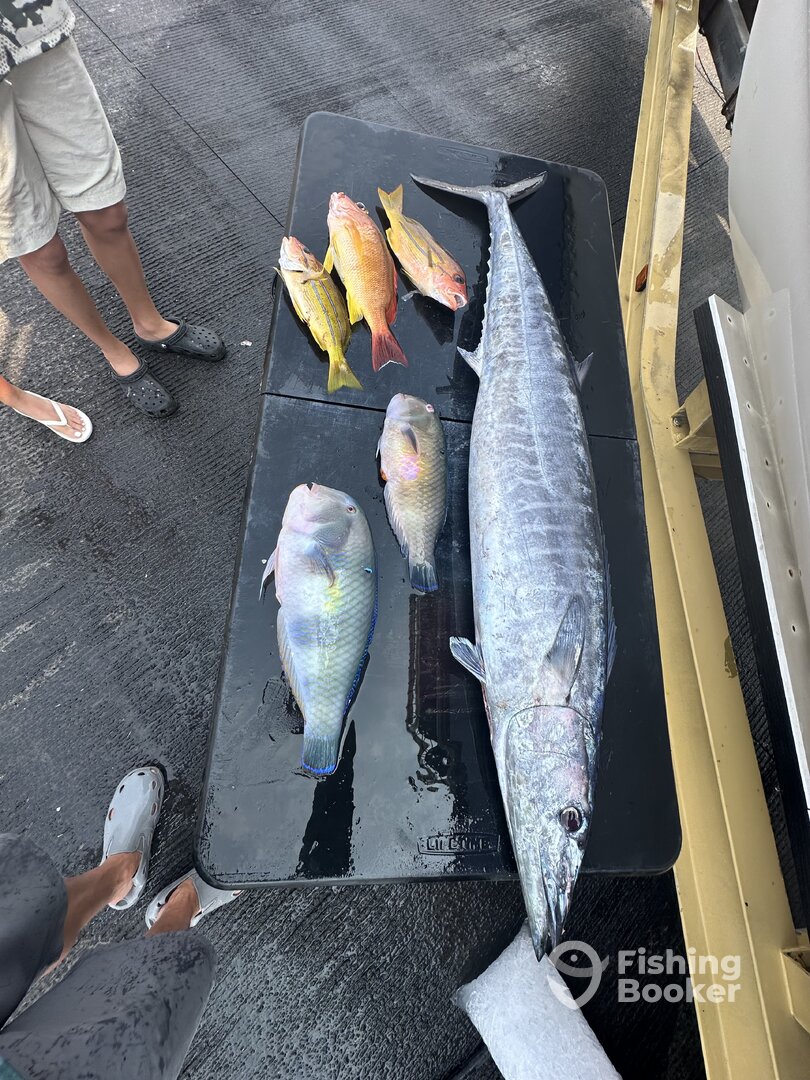 Kailua-Kona Report Photo 0