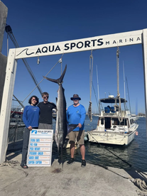 Striped Marlin Action on SEA HUNTER III!