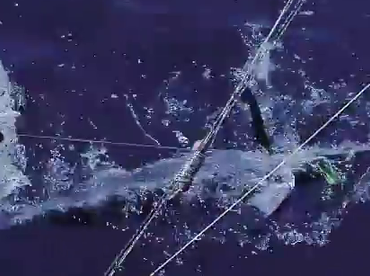 Sydney Report Photo 1