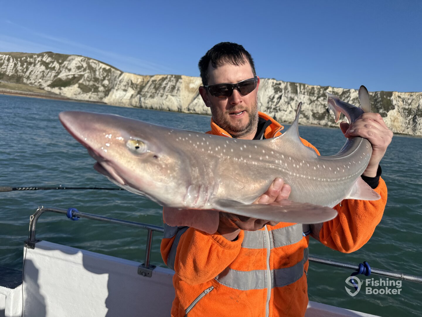 Dover Report Photo 0