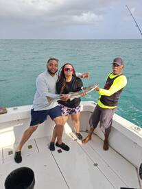 Noord Report Photo 1