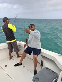 Noord Report Photo 2