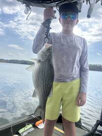 Rutledge Report Photo 2