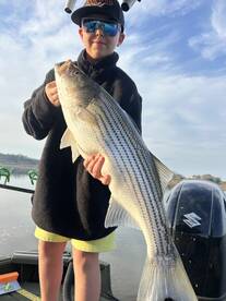 Rutledge Report Photo 1