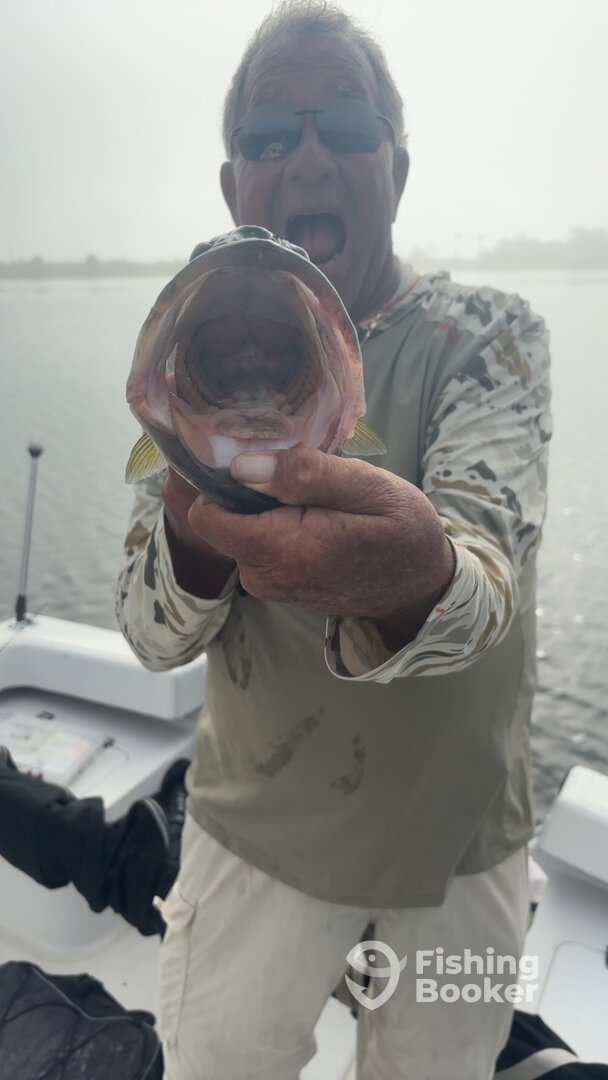 Clewiston Report Photo 0