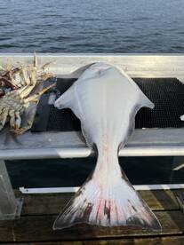 Halibut Opener!!! 