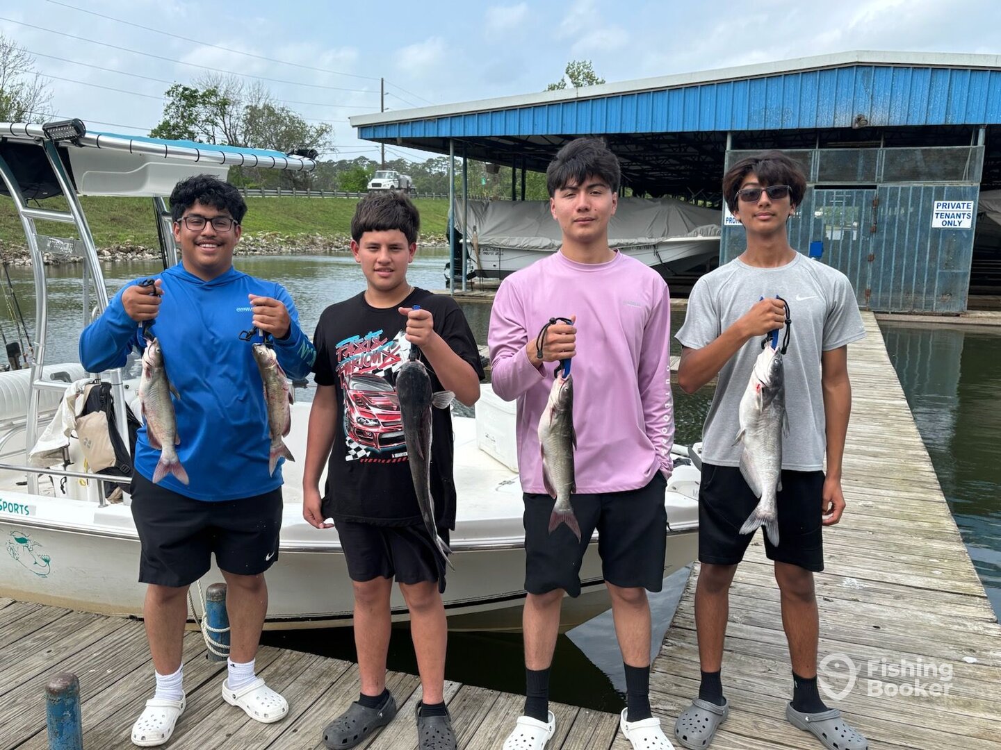 Willis Report Photo 0