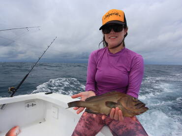 Quepos Report Photo 1