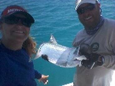 the many fishes of the florida keys 