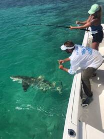 Stock Island Report Photo 1