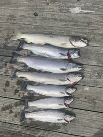 Muskegon Report Photo 2