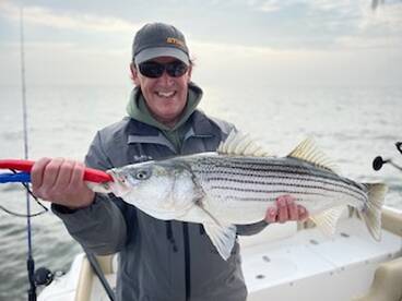 Clinton Report Photo 1