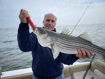 Clinton Report Photo 2