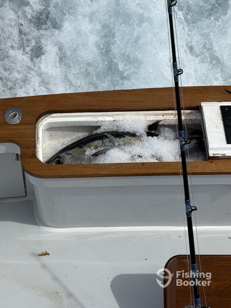 Nags Head Report Photo 0