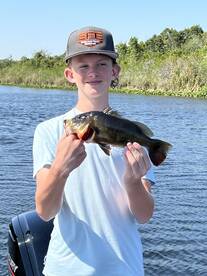 Caught almost every species of fish in t