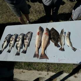 Fernandina Beach Report Photo 1