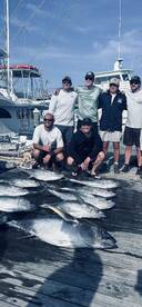 Yellowfin, big eyes and bluefin oh my!!