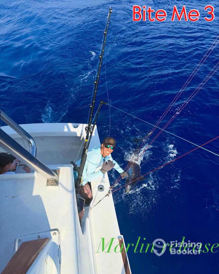 Marlin catch & release