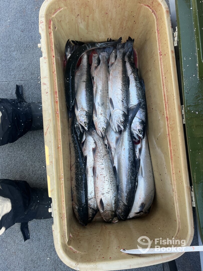 Muskegon Report Photo 0