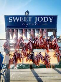 Spring time fishing!!