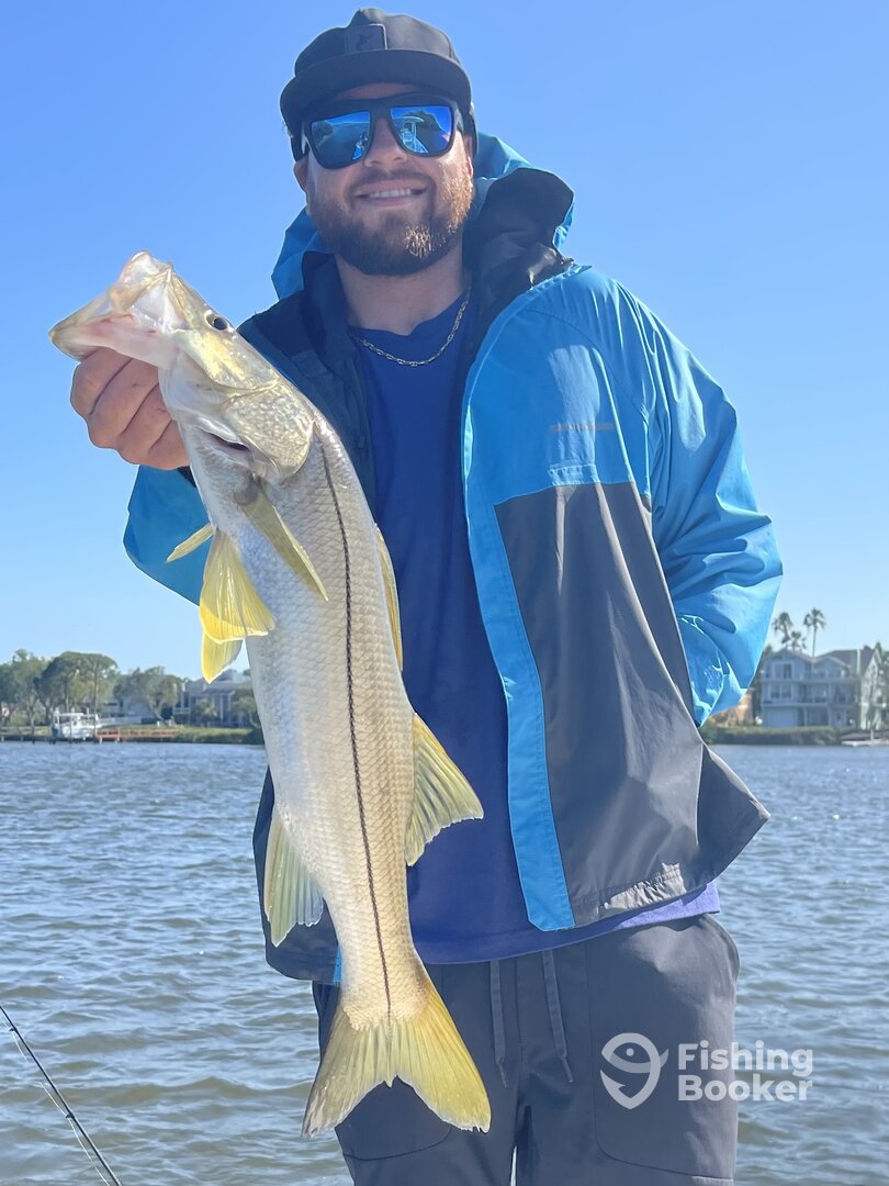 Holiday Report Photo 0