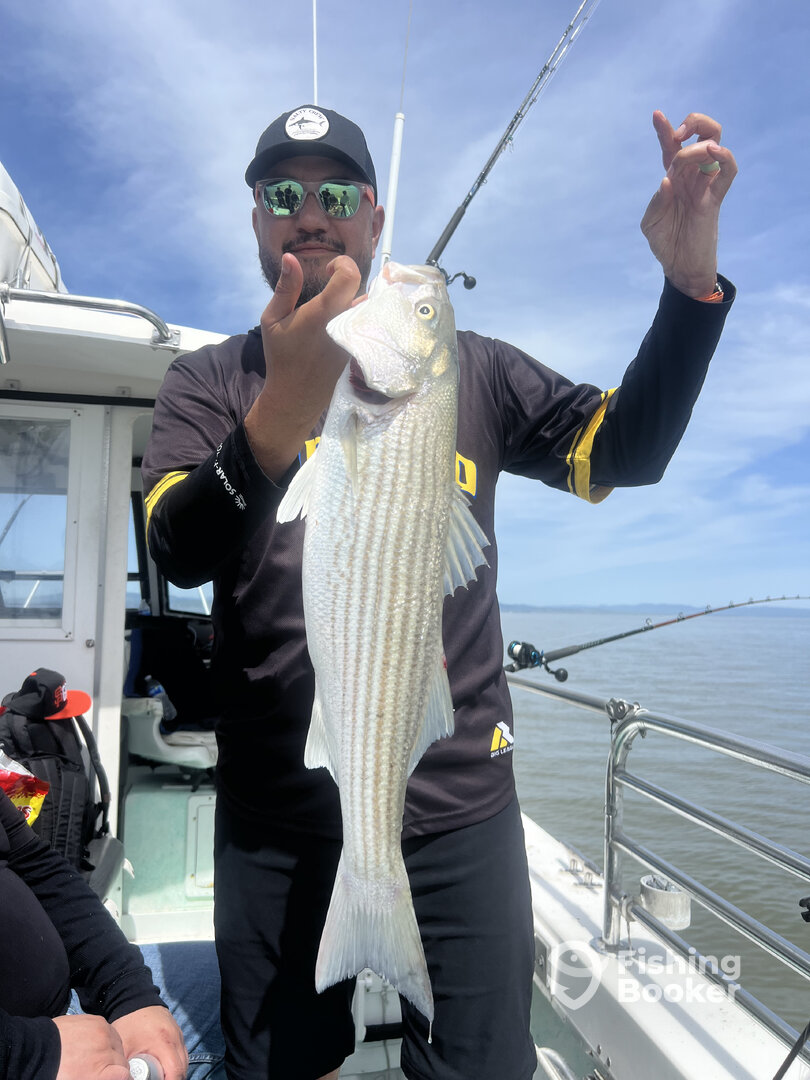 San Francisco Report Photo 0