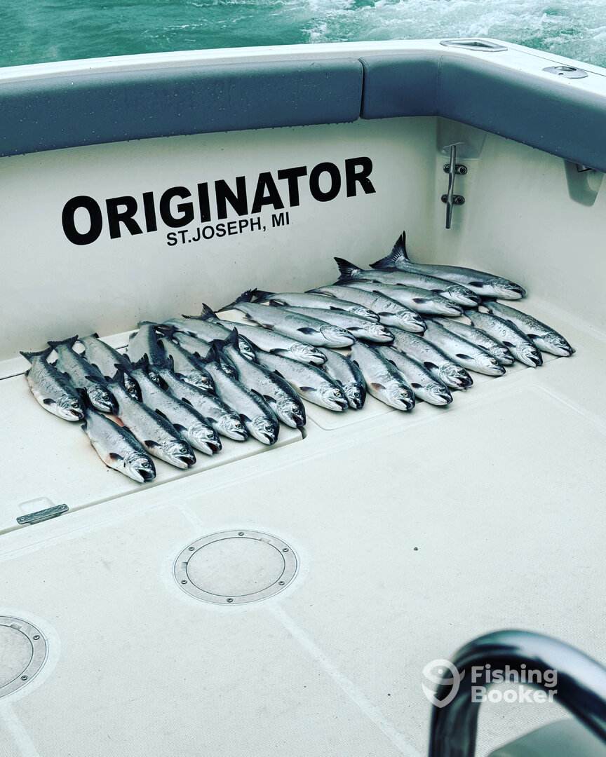 St. Joseph Report Photo 0