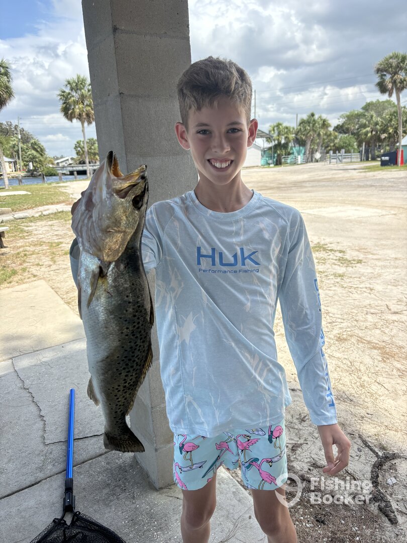 Spring Hill Report Photo 0