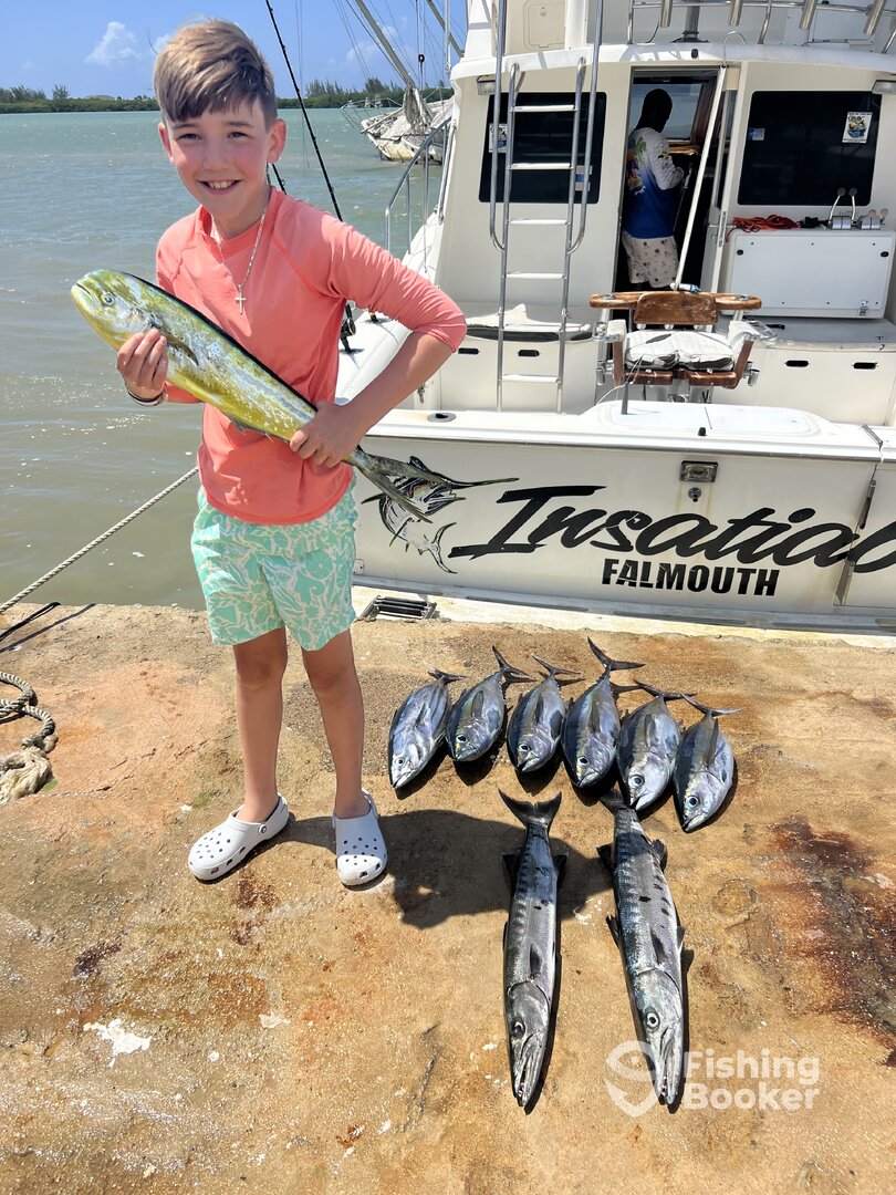 Falmouth Report Photo 0