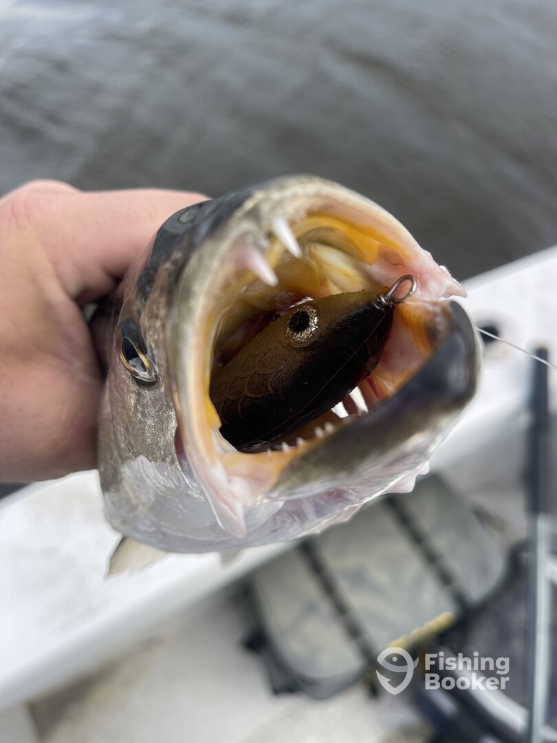 River Road Report Photo 0