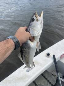 River Road Report Photo 1