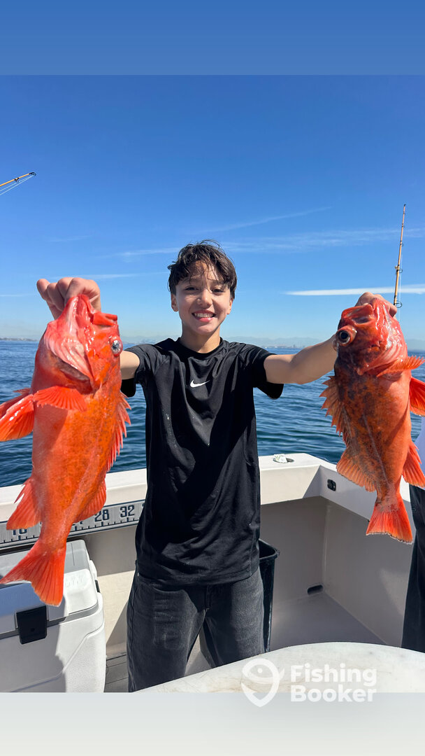 Los Angeles Report Photo 0