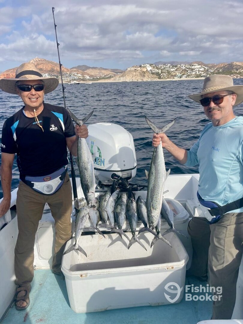 San Jose del Cabo Report Photo 0