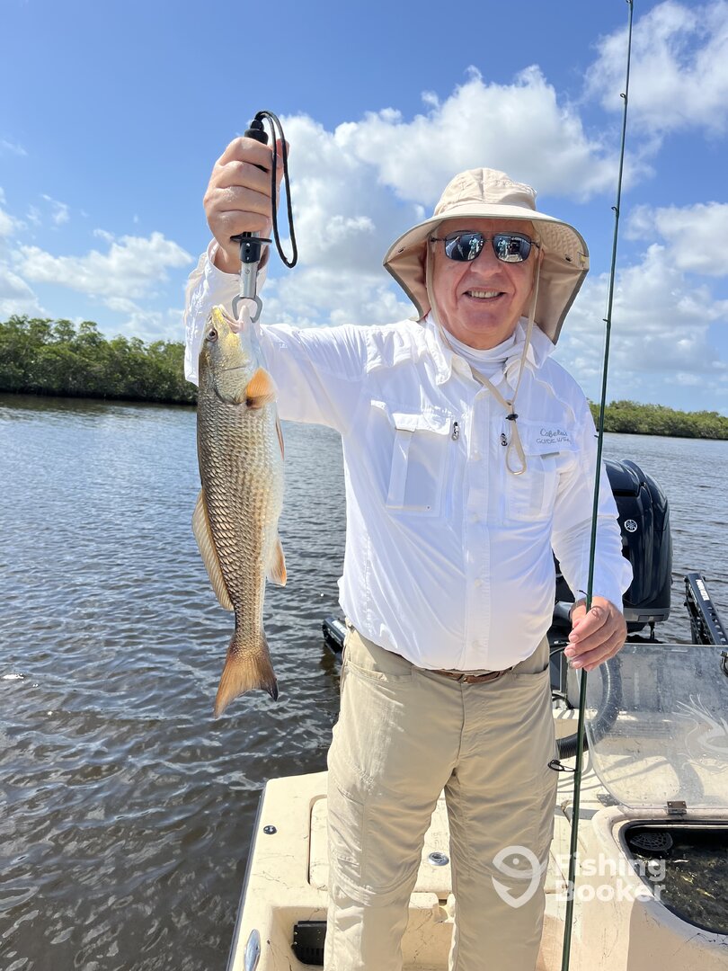 Punta Gorda Report Photo 0