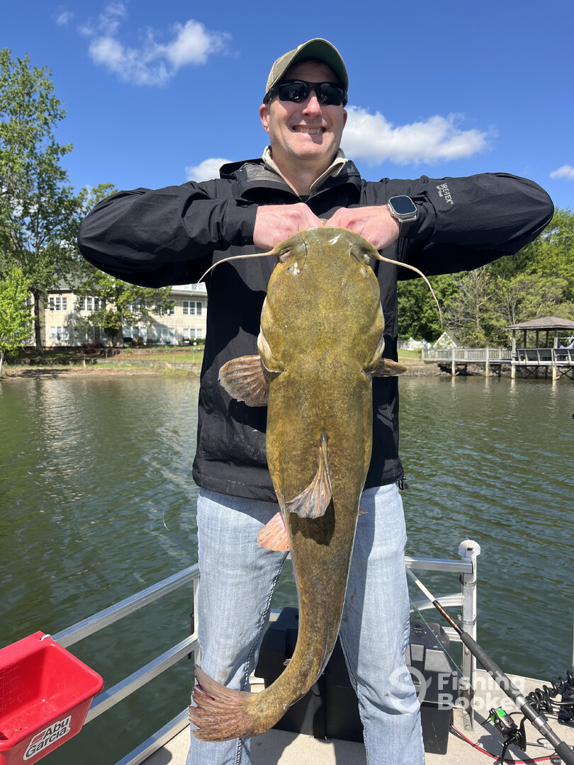 Clover Report Photo 0