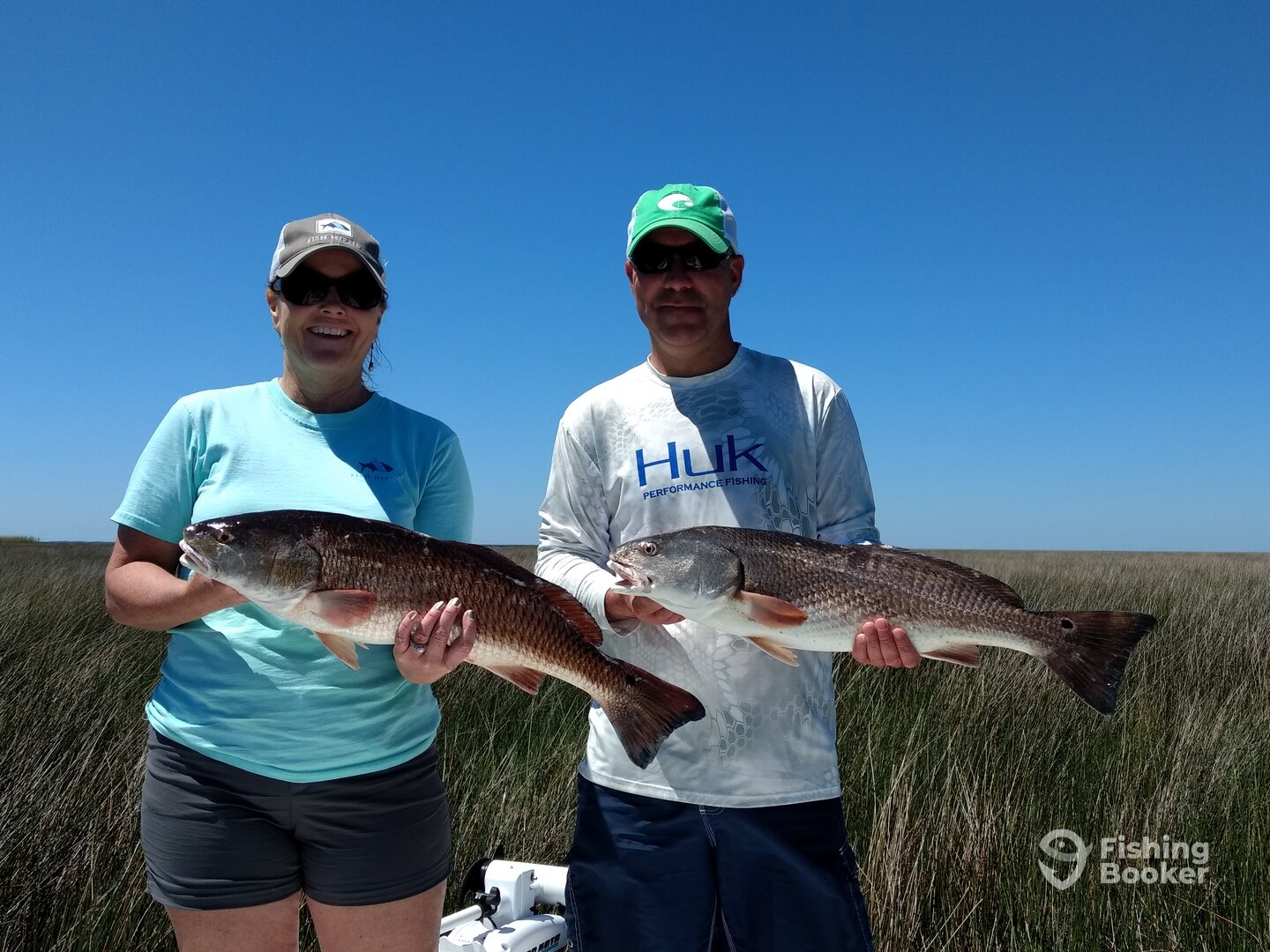 St. Bernard Report Photo 0