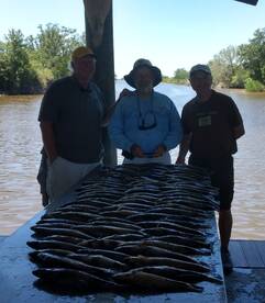 St. Bernard Report Photo 1